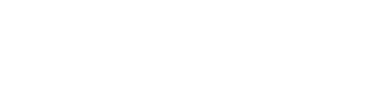 Valley Strong Credit Union white logo